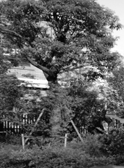 洛阳注册公司